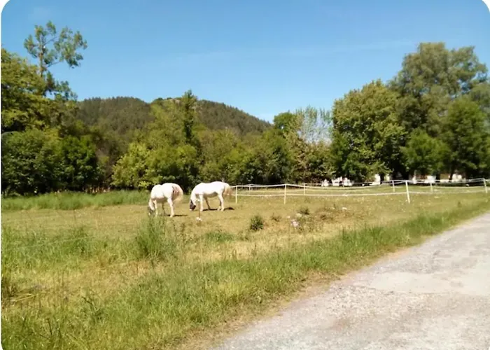 Spacieux Calme Apartment